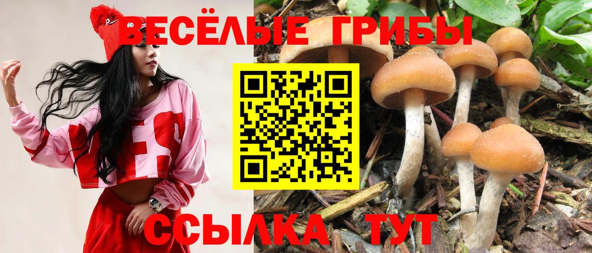 Галлюциногенные грибы Psilocybe  Вход с VPN  Уварово 
